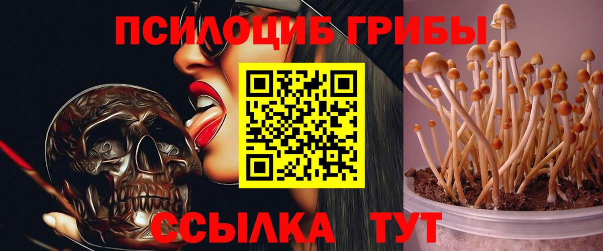 Ялуторовск  Галлюциногенные грибы ЛСД  Вход с VPN 