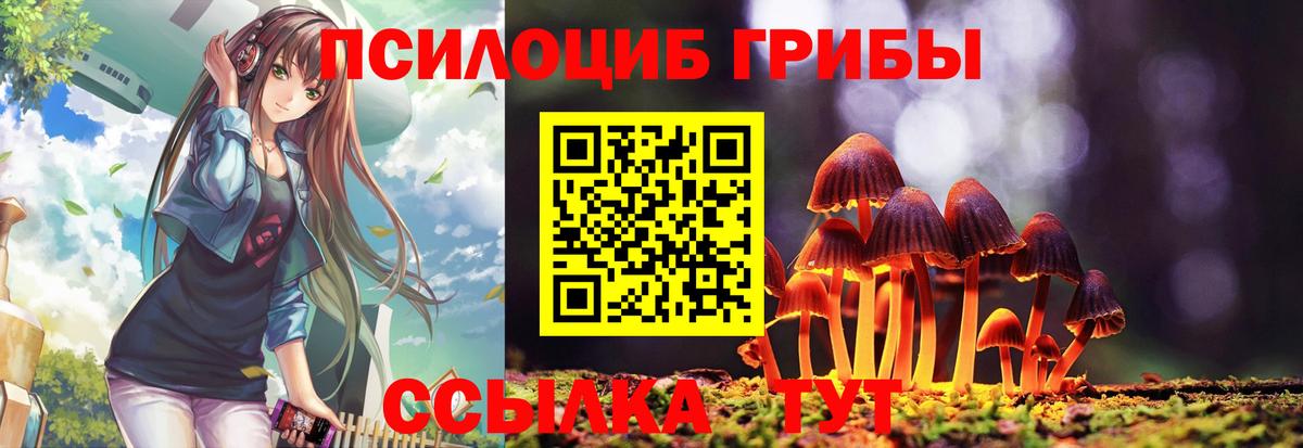 Галлюциногенные грибы Psilocybine cubensis Ялуторовск